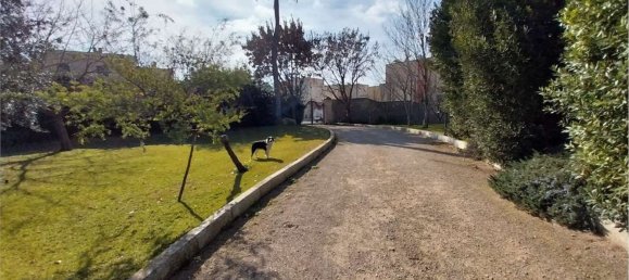 13 rooms Villa in Scorrano, Italy No. 153073 5