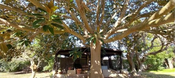 13 rooms Villa in Scorrano, Italy No. 153073 49