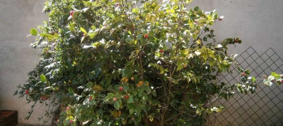 21 bedroom Villa in Cisterna d'Asti, Italy No. 343204 17