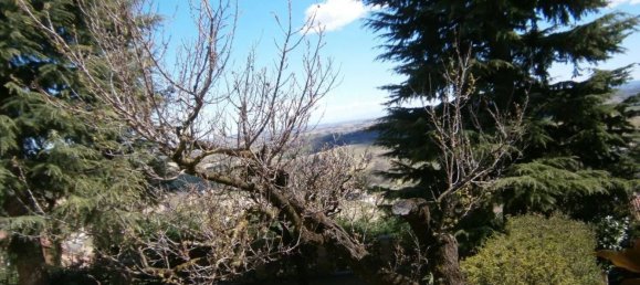 21 bedroom Villa in Cisterna d'Asti, Italy No. 343204 29