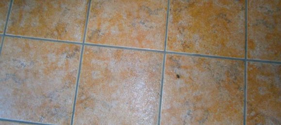 21 bedroom Villa in Cisterna d'Asti, Italy No. 343204 42