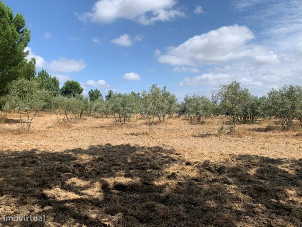  قطعة أرض في Montijo, Portugal 5000متر مربع رقم 239298