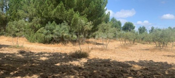 Terreno en Montijo, Portugal 5000 m² No. 239298 2