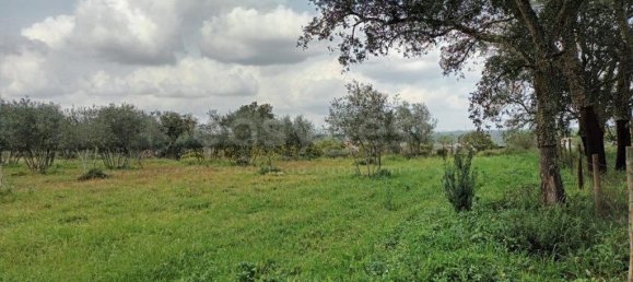 Terreno en Montijo, Portugal 5000 m² No. 239298 4