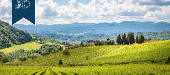 12 bedrooms Villa in Pelago, Italy No. 329296 27