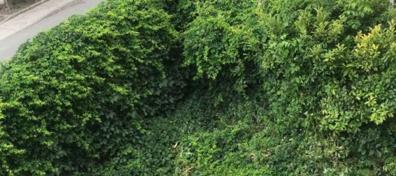 6-Zimmer Haus in Piadena Drizzona, Italy, Nr. 219801 22