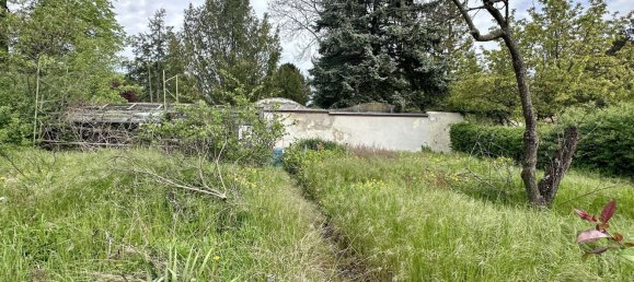 6-salle Maison de ville à Leipzig, Germany No. 130347 9