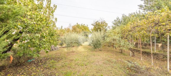 2 rooms Villa in Rome, Italy No. 18399 25