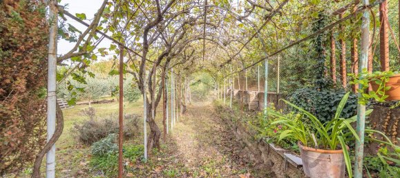 2 rooms Villa in Rome, Italy No. 18399 21