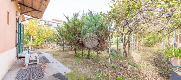 2 rooms Villa in Rome, Italy No. 18399 46