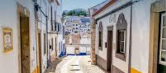  قطعة أرض في Sao Teotonio, Portugal 14998متر مربع رقم 39824 8