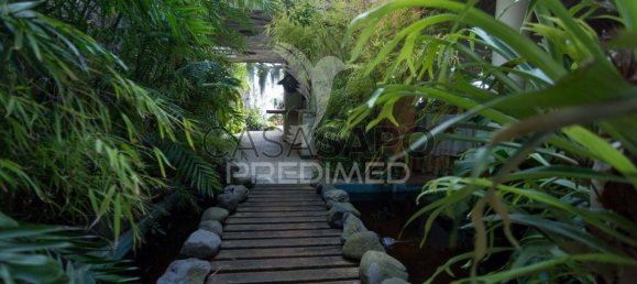 4 Schlafzimmer Haus in Funchal, Portugal, Nr. 146491 4