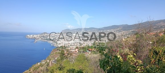 4 Schlafzimmer Haus in Funchal, Portugal, Nr. 146491 19