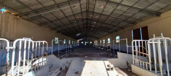 40 bedrooms House in Pula, Italy No. 339561 9