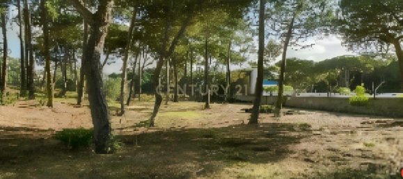 9 bedrooms House in Nazare, Portugal No. 140526 7