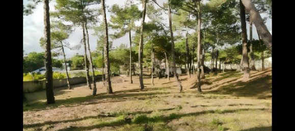 9 bedrooms House in Nazare, Portugal No. 140526 6