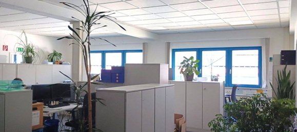 Entrepôt à Emmendingen, Germany 1914m² No. 270032 2