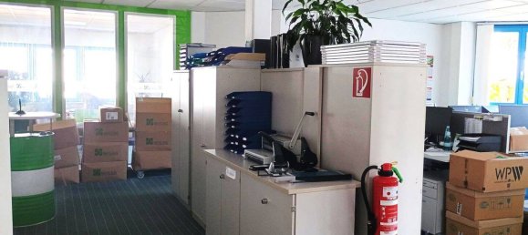 Entrepôt à Emmendingen, Germany 1914m² No. 270032 5