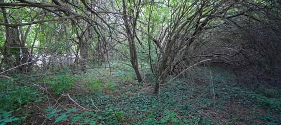 Дом с 4 спальнями в Кифхойзер, Германия № 288047 6