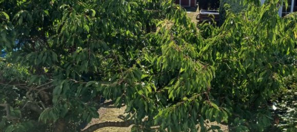 4 bedrooms Townhouse in Barnim, Germany No. 317549 17