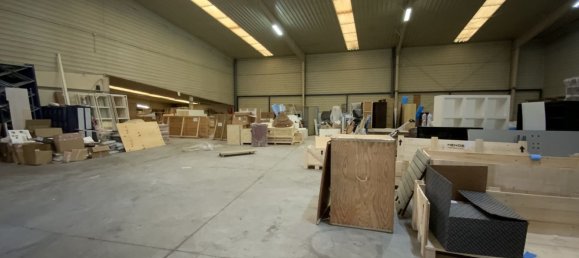 1050m² Warehouse in Marbella, Spain No. 84387 5