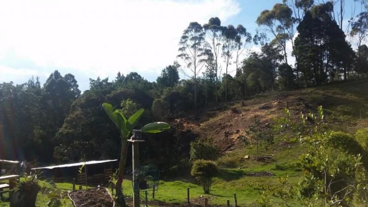 4 bedrooms House in Antioquia, Colombia No. 8358