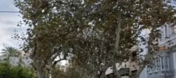 3 غرف نوم شقة في Vila-real, Spain رقم 177655 29