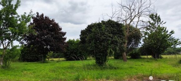 3 Schlafzimmer Haus in Deux-Sevres, France, Nr. 314501 5