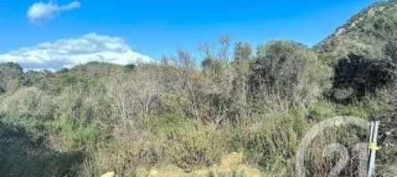 Grundstück in Porto-Vecchio, France 697m², Nr. 81233 3