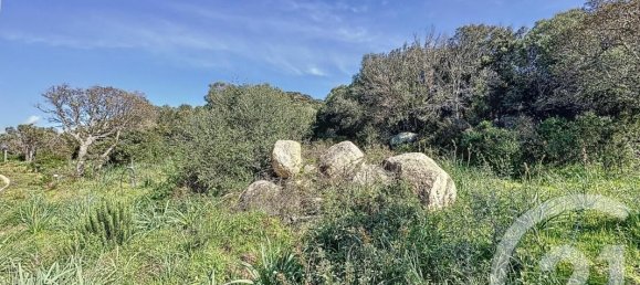 Grundstück in Porto-Vecchio, France 697m², Nr. 81233 4