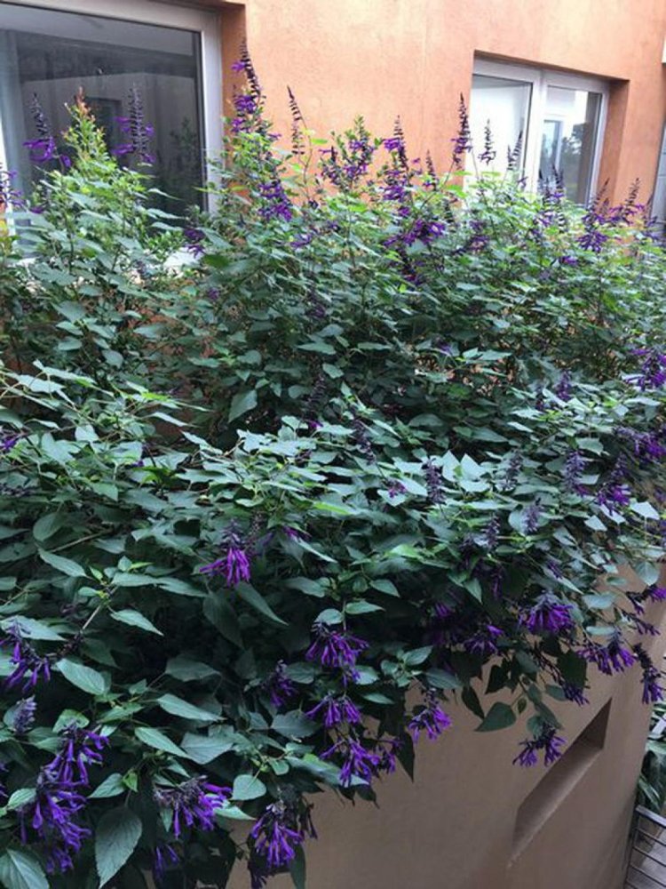 Studio in Buenos Aires, Argentina No. 102372