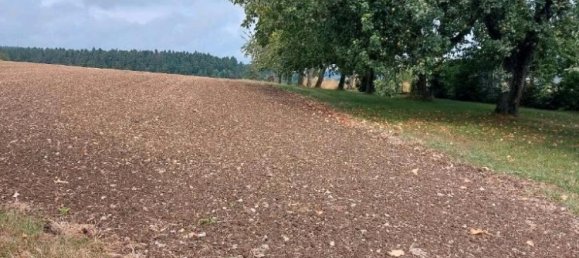 Grundstück in Freudenstadt, Germany, Nr. 218852 9