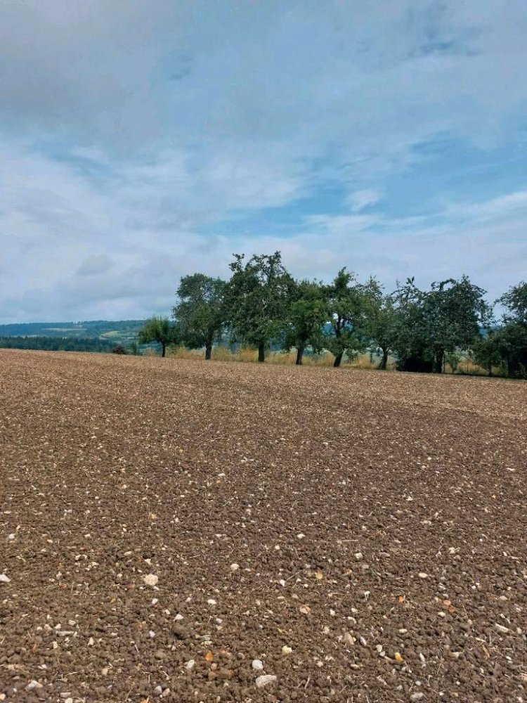 Grundstück in Freudenstadt, Germany, Nr. 218852