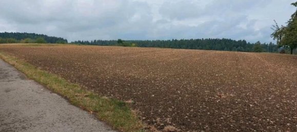 Grundstück in Freudenstadt, Germany, Nr. 218852 4