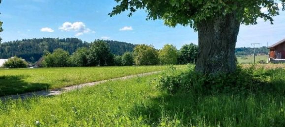 Grundstück in Freudenstadt, Germany, Nr. 218852 5