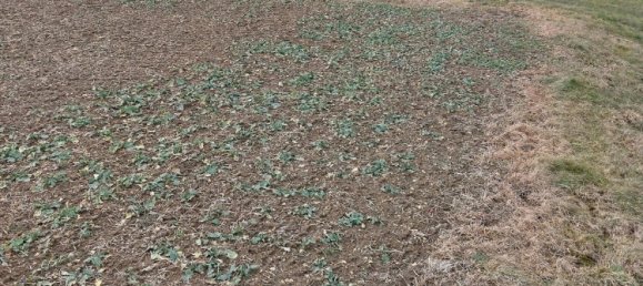 Grundstück in Freudenstadt, Germany, Nr. 218852 7