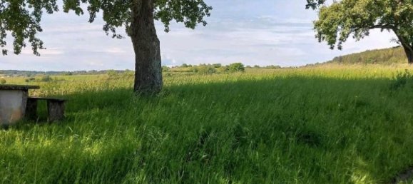 Grundstück in Freudenstadt, Germany, Nr. 218852 11