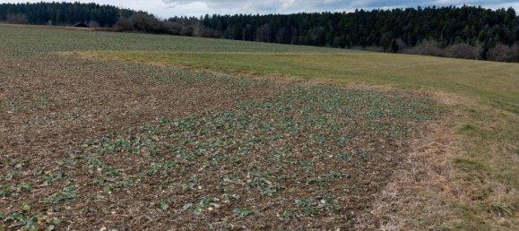 Grundstück in Freudenstadt, Germany, Nr. 218852 6