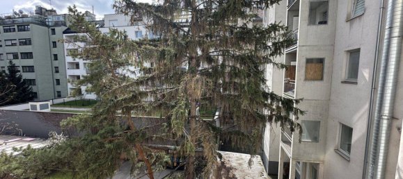 Studio in Favoriten, Austria No. 140459 3