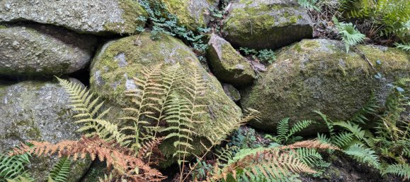 Imóvel comercial de 7 divisões em Ortenaukreis, Germany N.º 3293 19