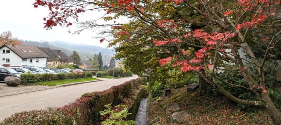 Imóvel comercial de 7 divisões em Ortenaukreis, Germany N.º 3293 2