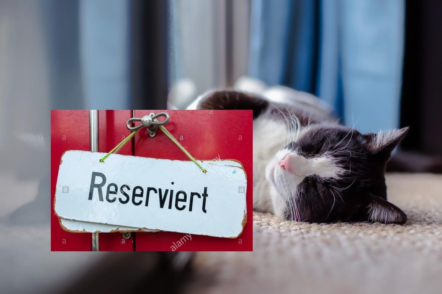 Casa T1 em Erfurt, Germany N.º 66716