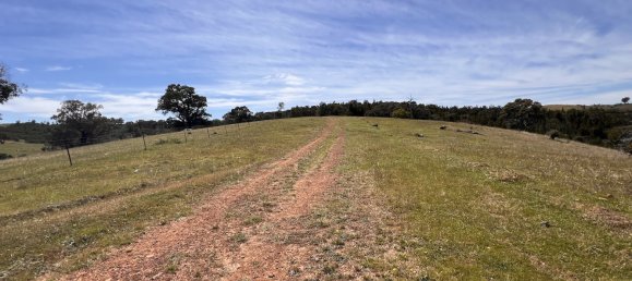 Quinta T2 em Taylors Flat, Australia N.º 962 12