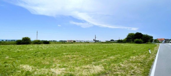 5134m² Land in Mitterndorf an der Fischa, Austria No. 142179 2