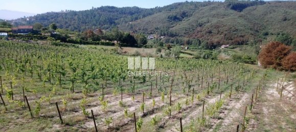 Grundstück in Gove, Portugal 16636m², Nr. 57469 22