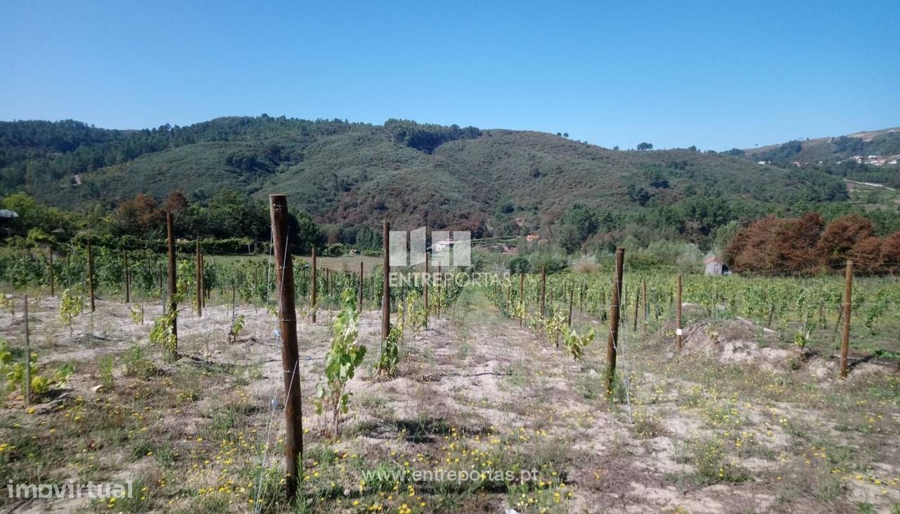 Grundstück in Gove, Portugal 16636m², Nr. 57469