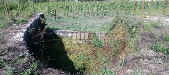 Grundstück in Gove, Portugal 16636m², Nr. 57469 9