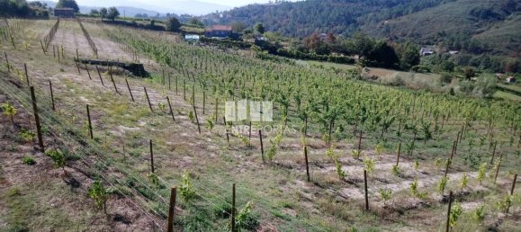 Grundstück in Gove, Portugal 16636m², Nr. 57469 19