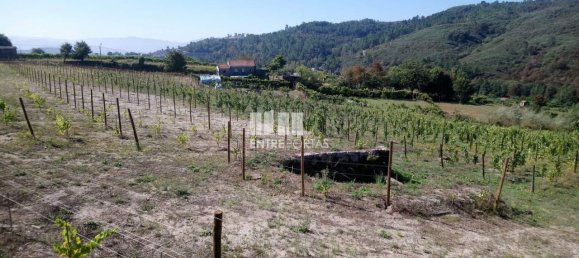 Grundstück in Gove, Portugal 16636m², Nr. 57469 11