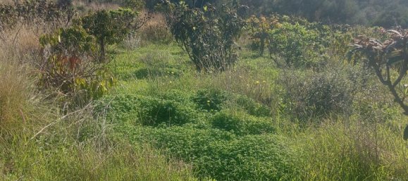 2 bedrooms House in Estepona, Spain No. 123499 29